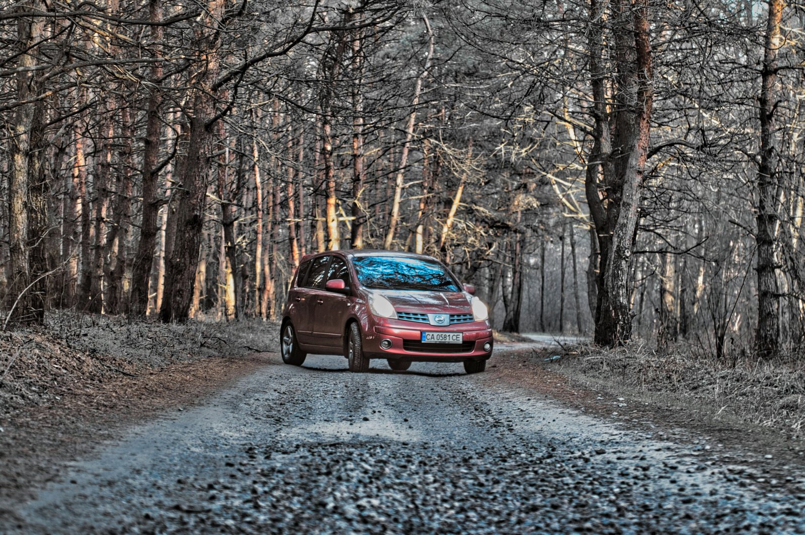 red car on road between trees during daytime