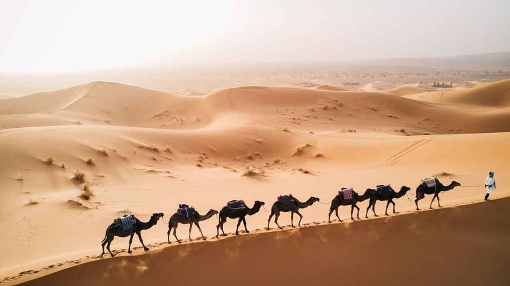 10 cosas que no sabías sobre el desierto del Sahara en Marruecos